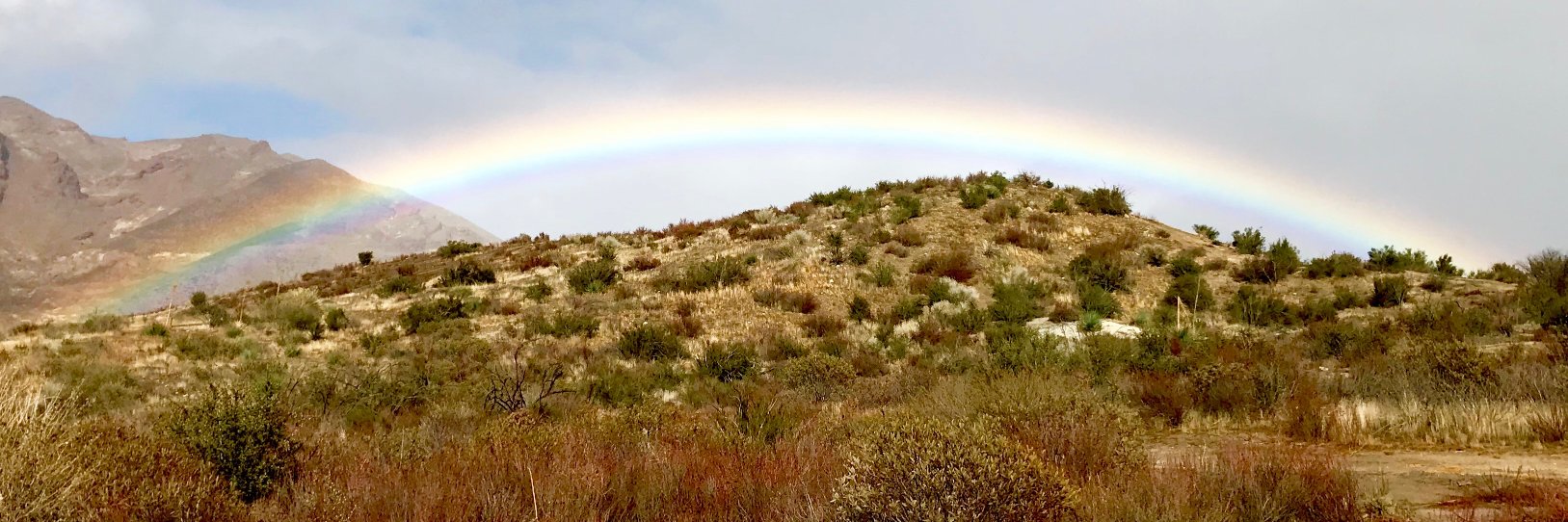 Scott Sullivan banner