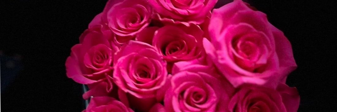 Cam_Rose's profile banner image
