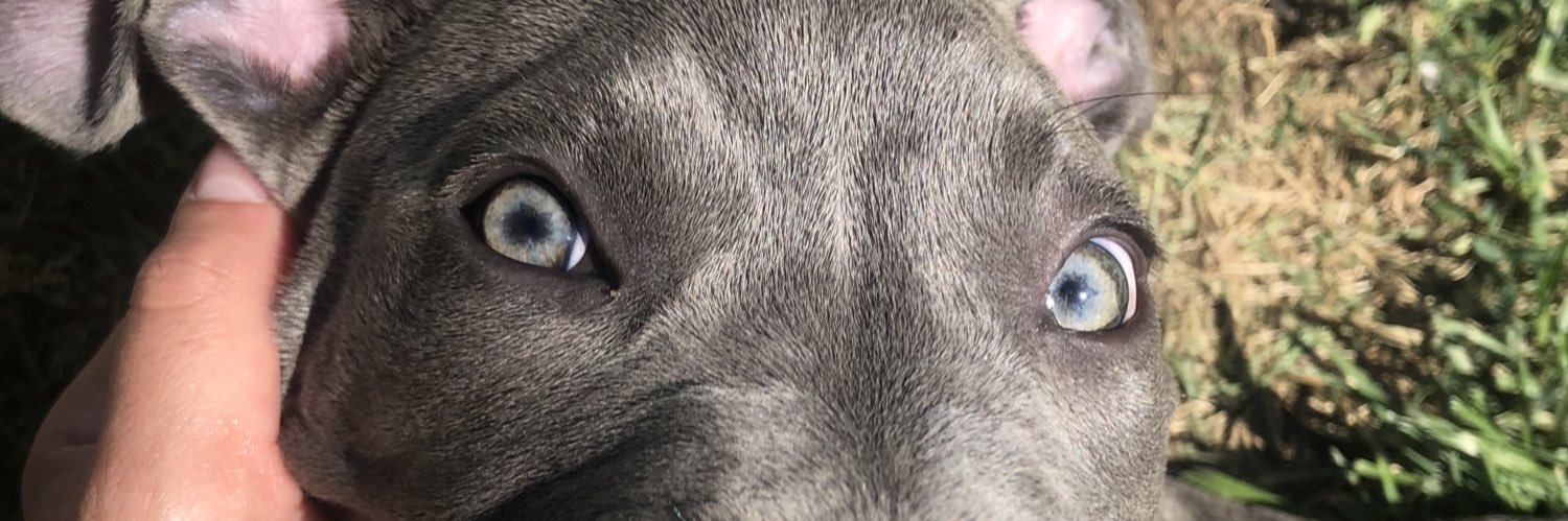 ericacoppa's profile banner image