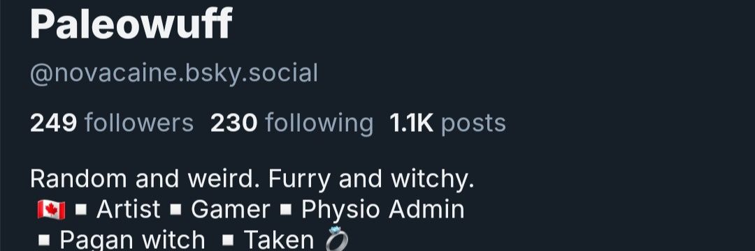 Paleowuff's profile banner image