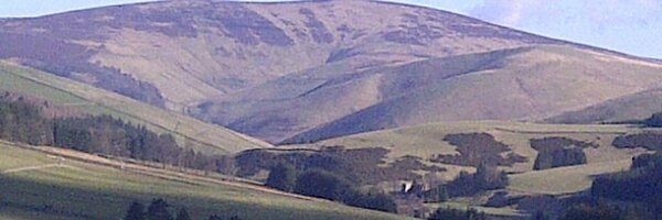 CaddonView Profile Banner