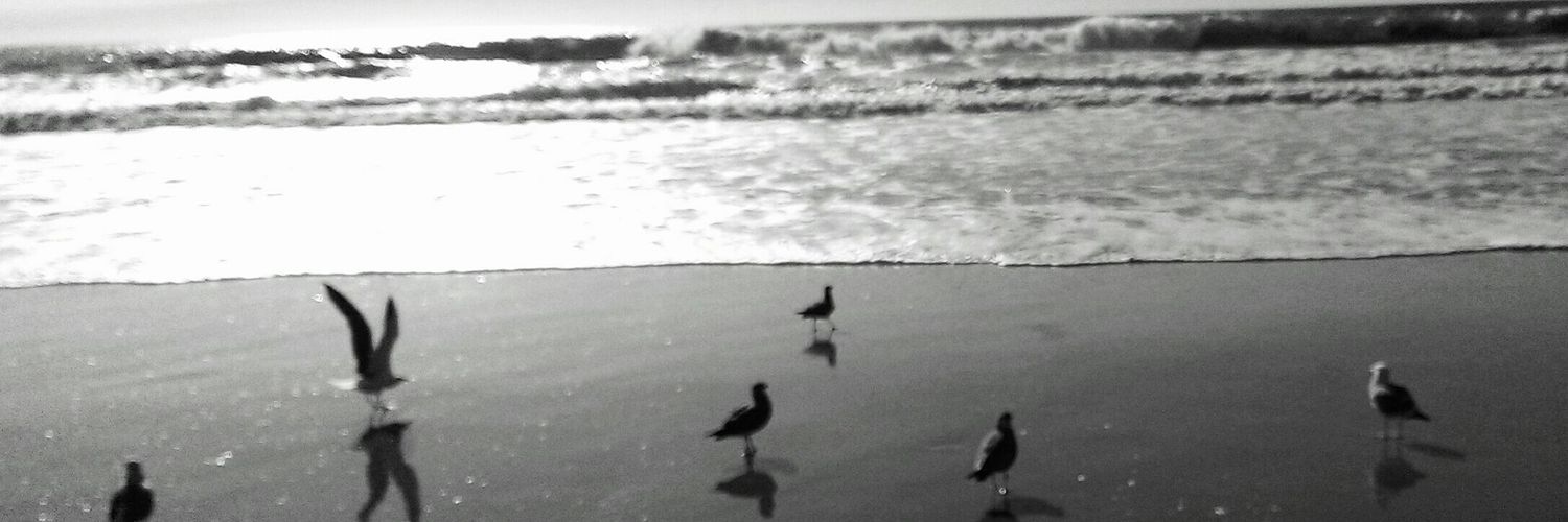 cylindricalrecs's profile banner image