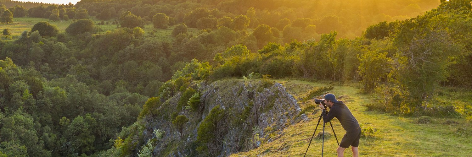 brad_wakefield's profile banner image