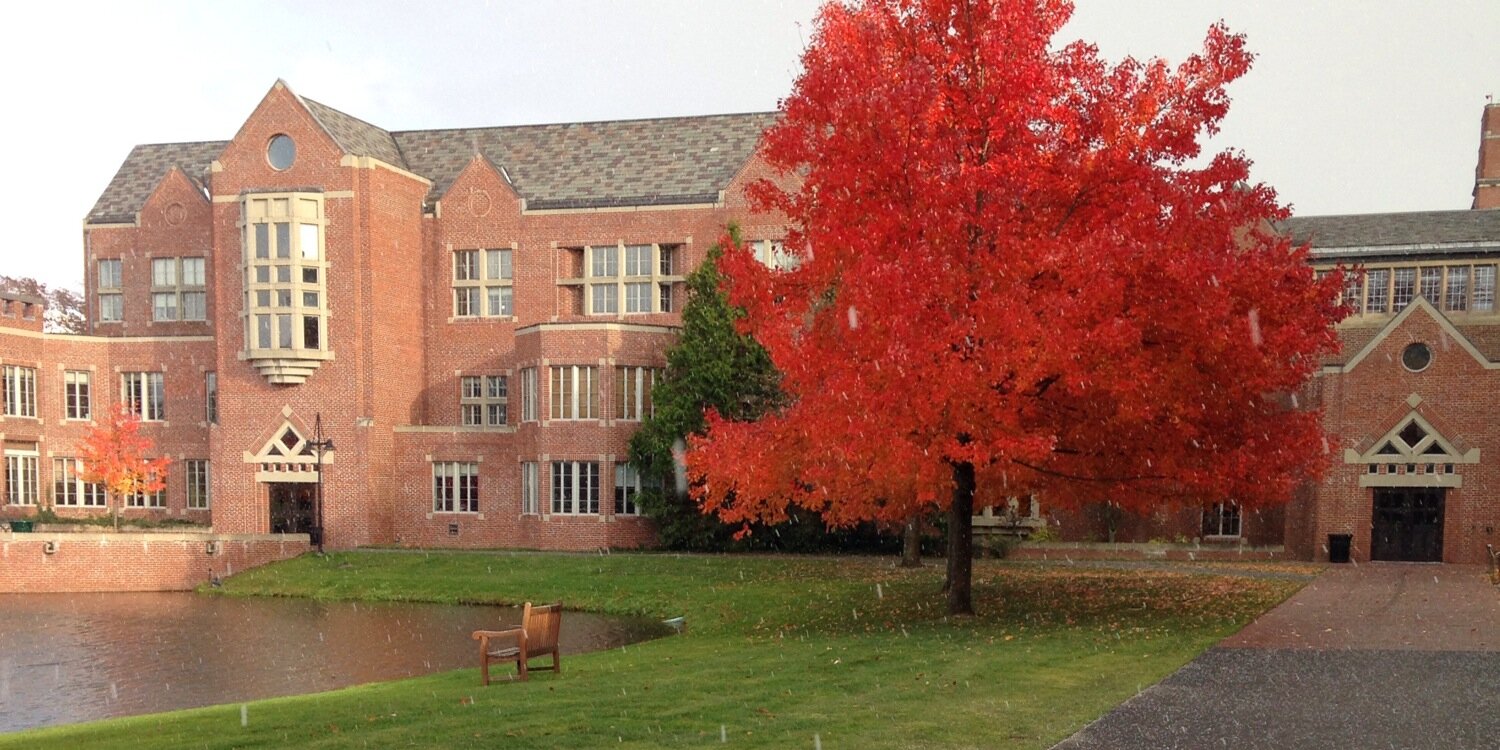 Collin Popowski banner