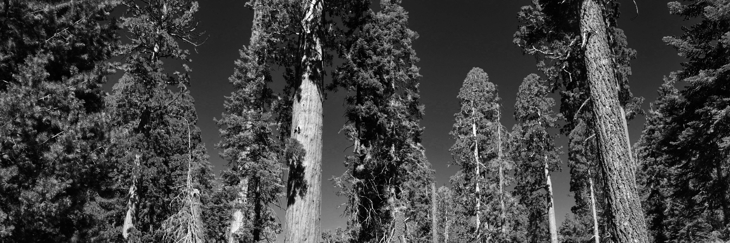 Dchops88's profile banner image