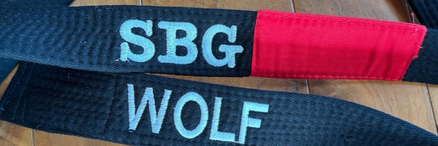 Robb Wolf's banner