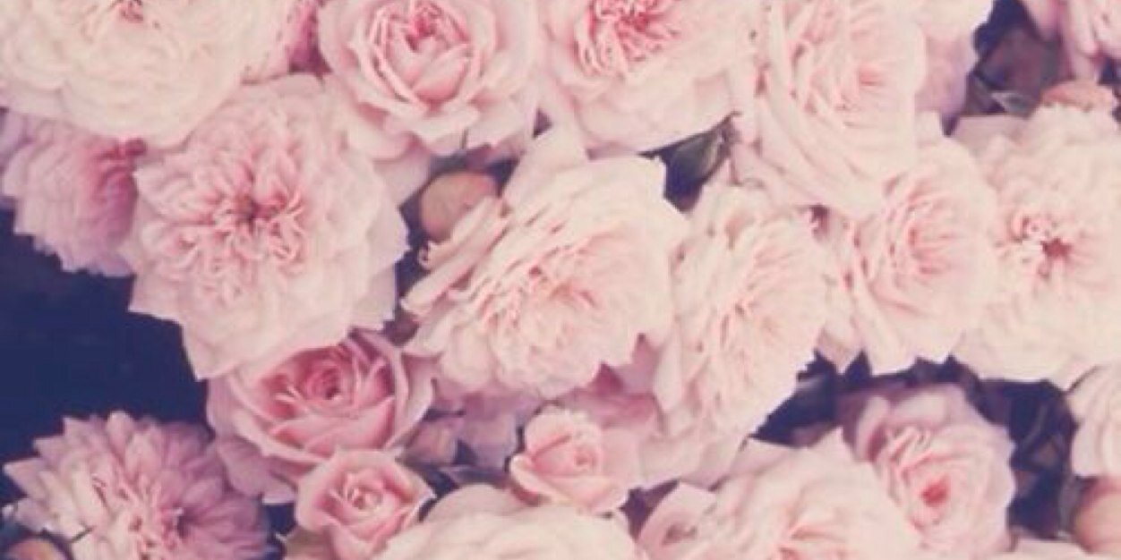 Nataschaaaax's profile banner image