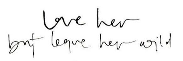 onlyforyou03's profile banner image