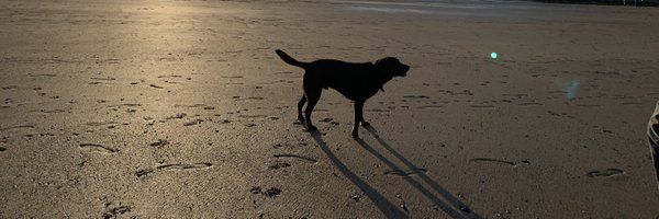 nrjs1000 Profile Banner