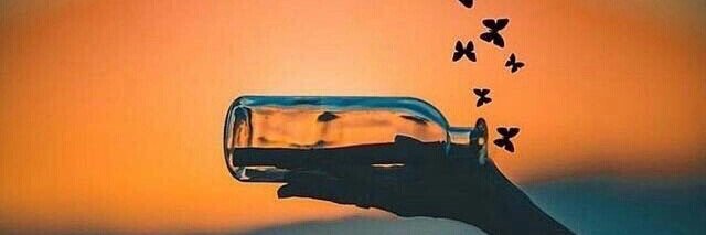 __dshay24's profile banner image