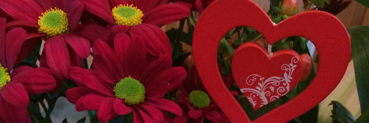 KellySkev24's profile banner image
