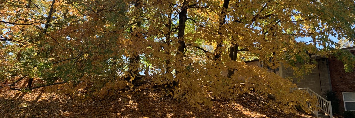 Amanda Dalton banner