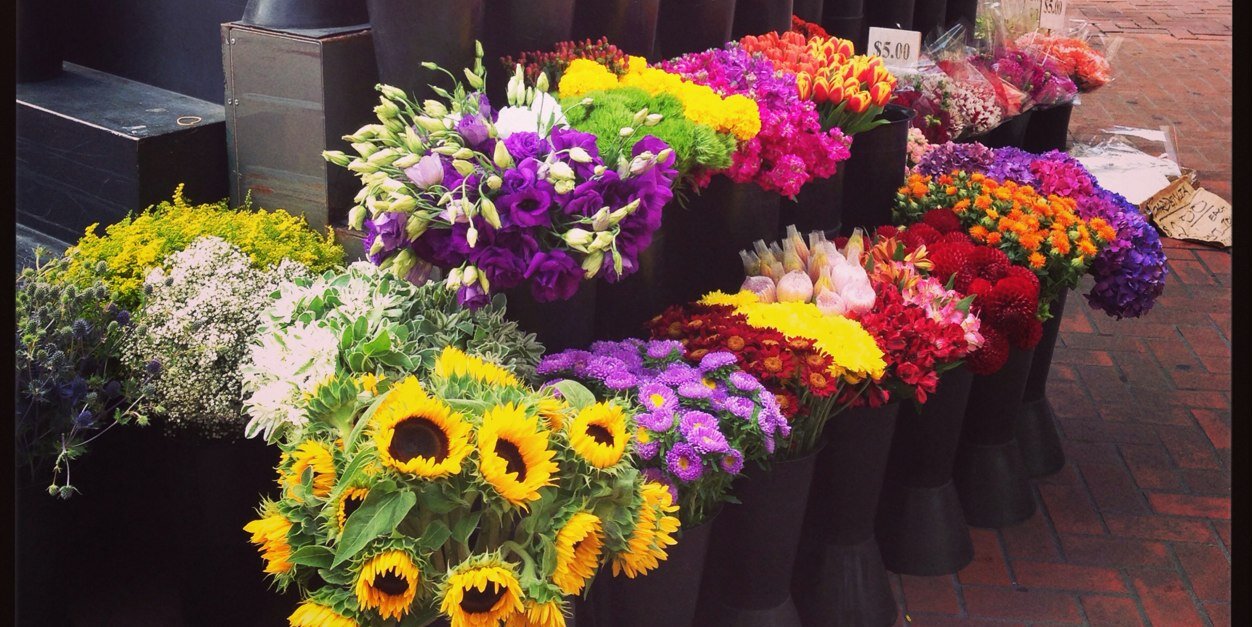 Lauren Scales banner