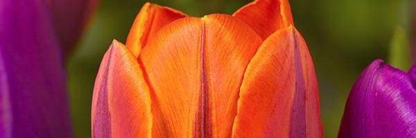cnoth618 Profile Banner