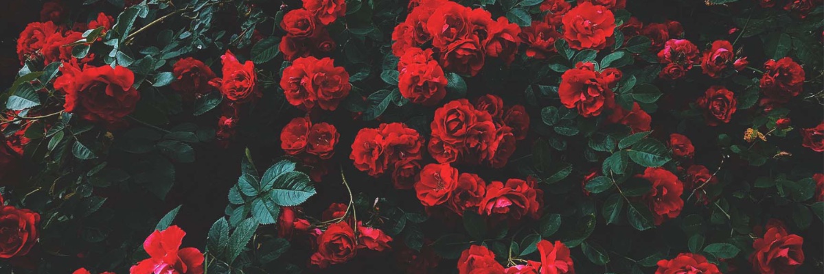 ItsKaleena's profile banner image