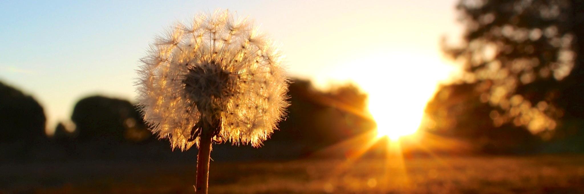 a_souldrifter's profile banner image