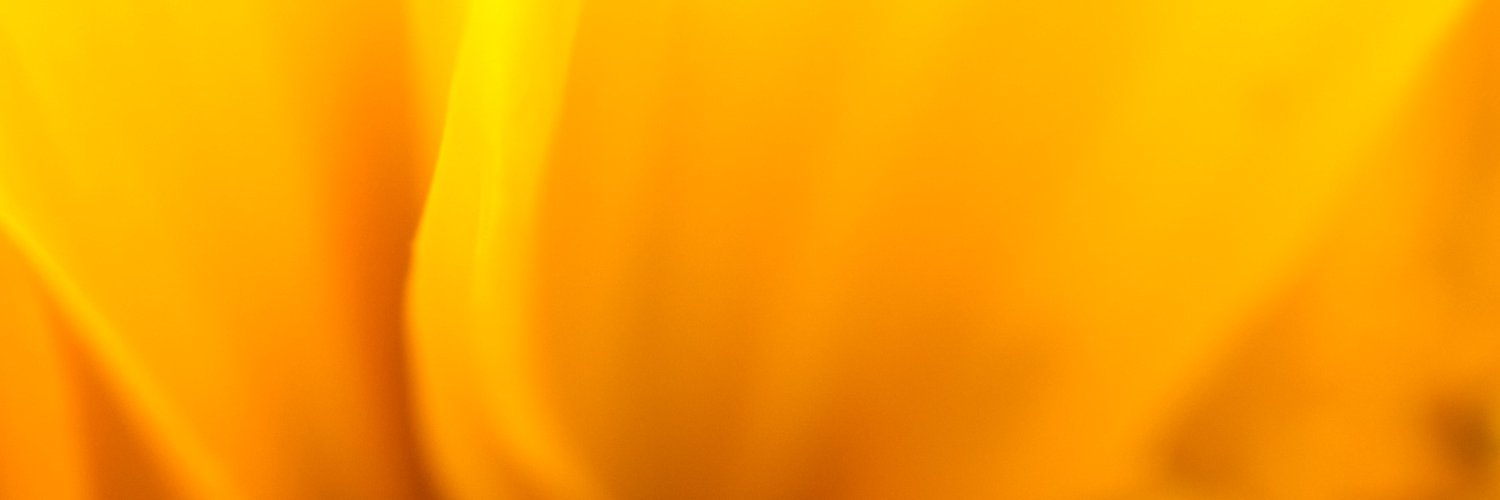 davidt3a's profile banner image