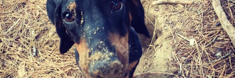 beerelp's profile banner image