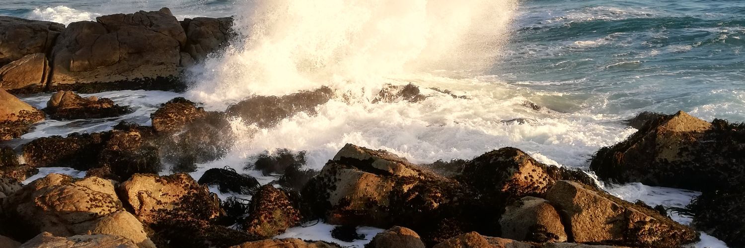 potro_troyano 🌄🐴 banner