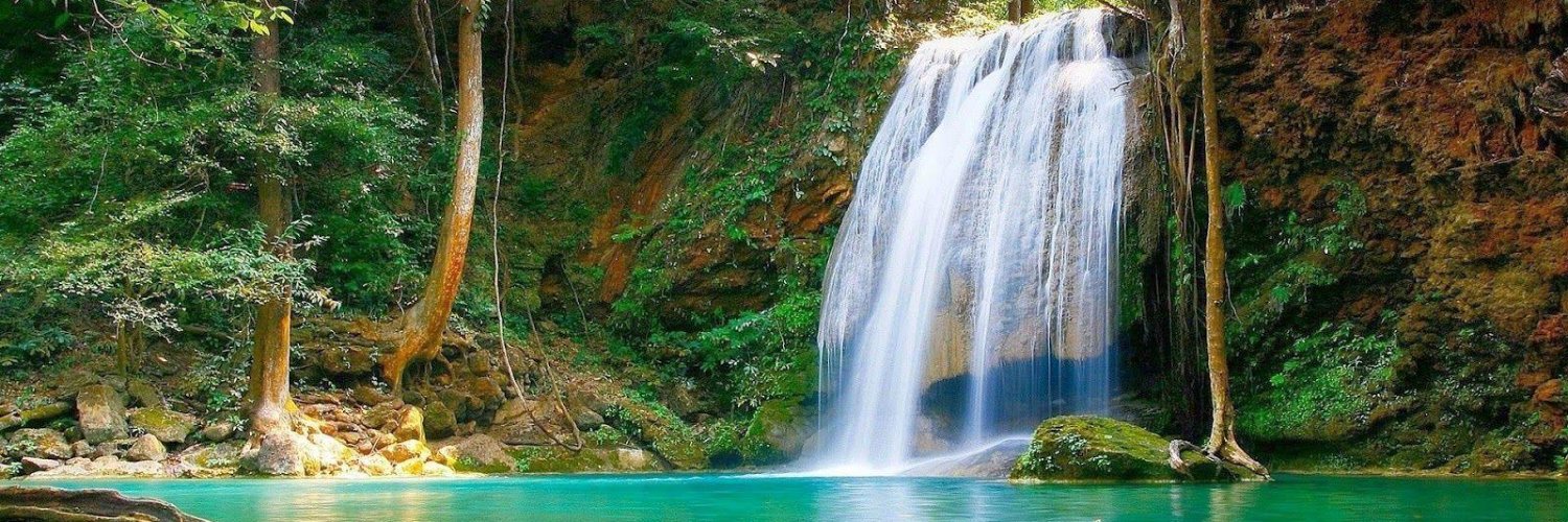 Peter Krumins banner