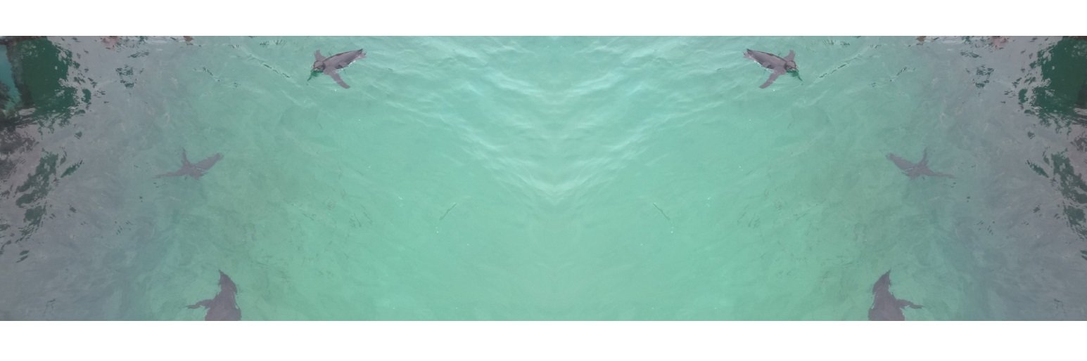 OmarVasquez's profile banner image