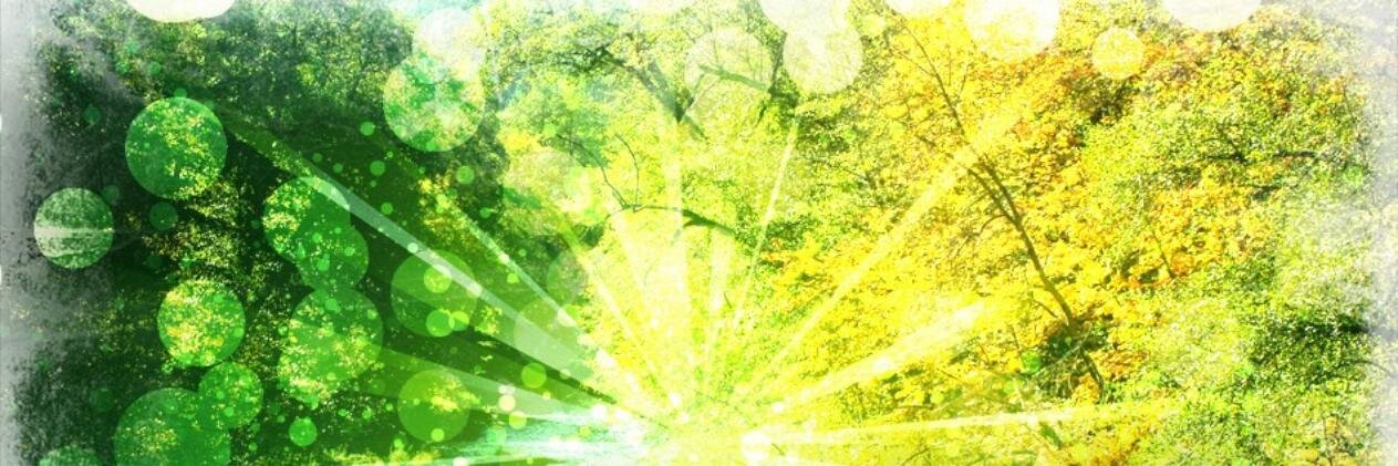 TeraLeaman's profile banner image