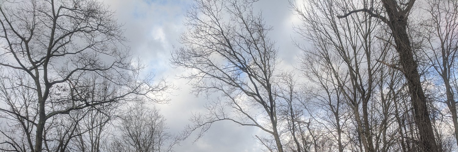twirlspin's profile banner image