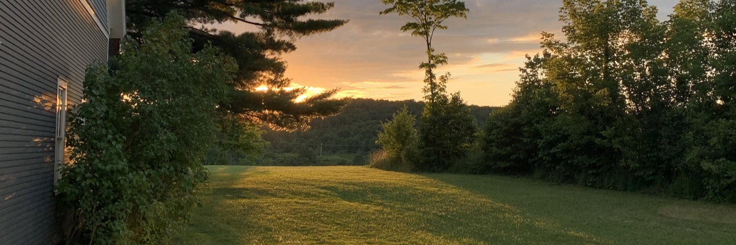CarolineBright's profile banner image