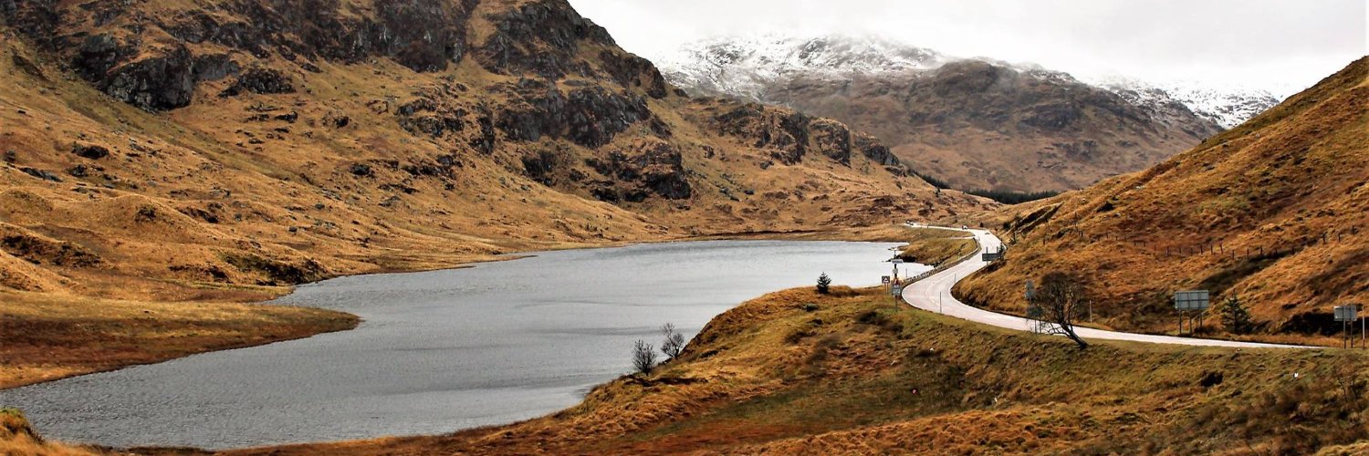 Gordon McGuinness banner