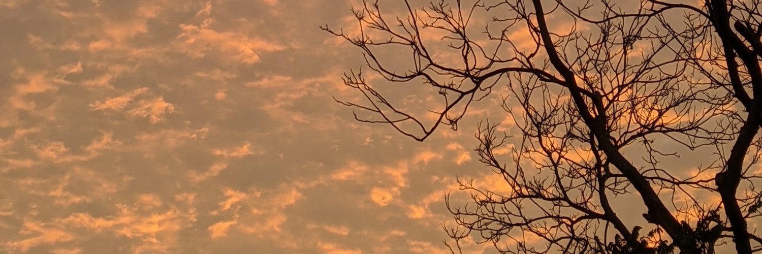 shortforjean's profile banner image