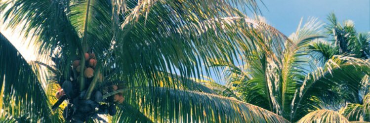 ComfySOC's profile banner image