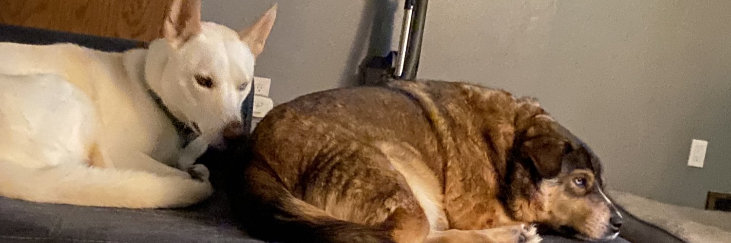 toddbewho's profile banner image