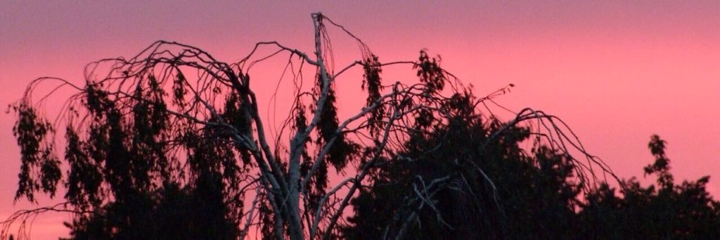 h3lls3nt's profile banner image