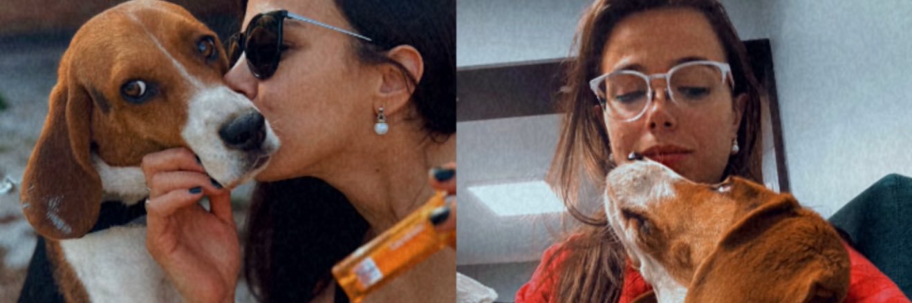 PatoAndreolli's profile banner image