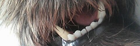 laaurababy's profile banner image