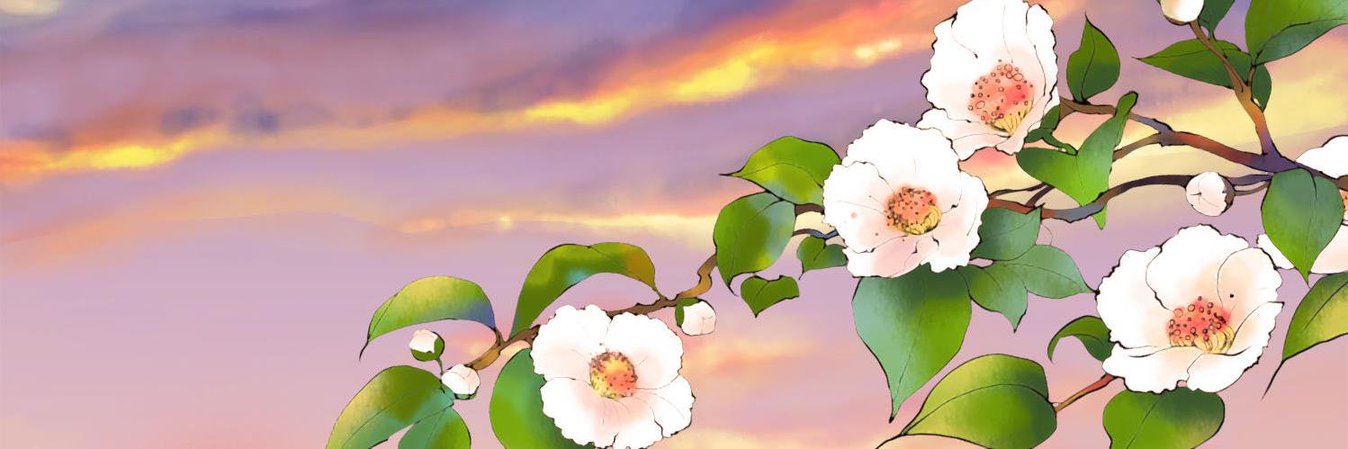 snakeship555's profile banner image
