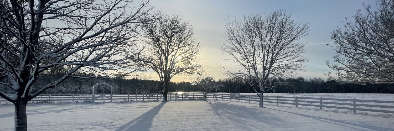 jtaylo's profile banner image