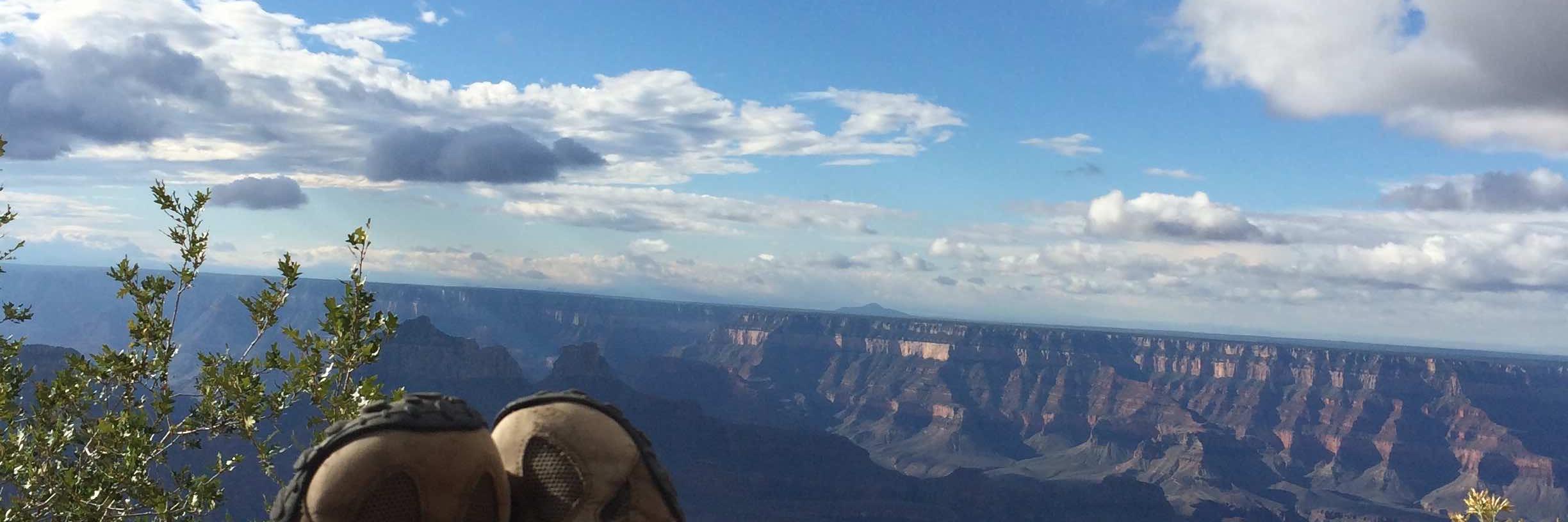 Kevin D Wilde banner