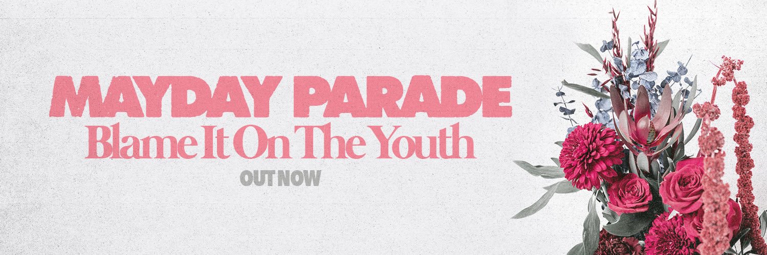 Mayday Parade banner
