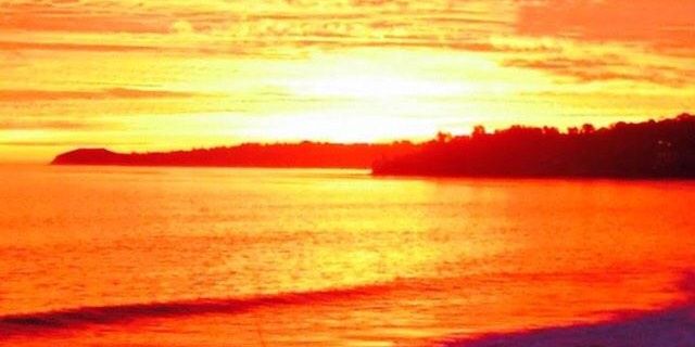 Raymond Young banner