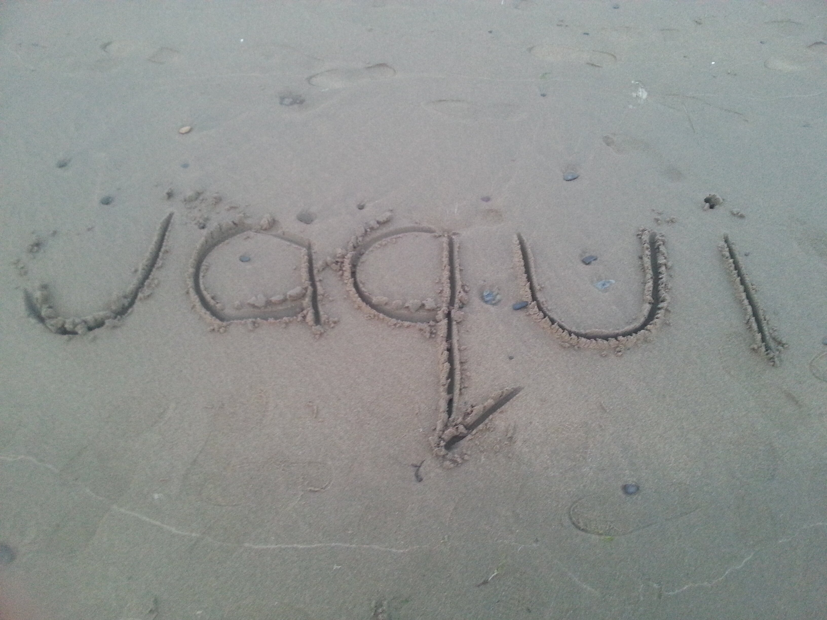 Jaqui Theaker banner