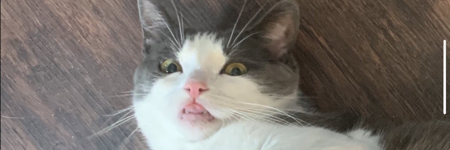 Jaime Poland🎄 banner