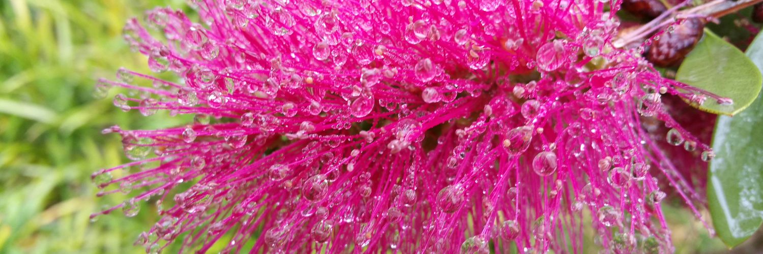 Heather🌈Watson🇺🇦 banner