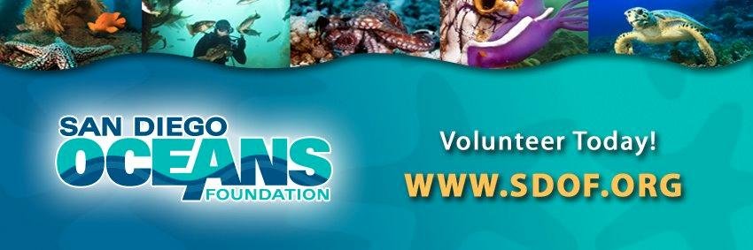 San Diego Oceans (@sdoceans) / Posts / X