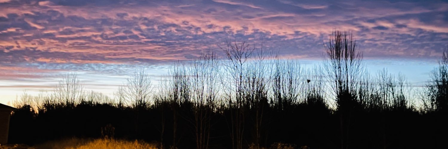 timbotwoguns's profile banner image