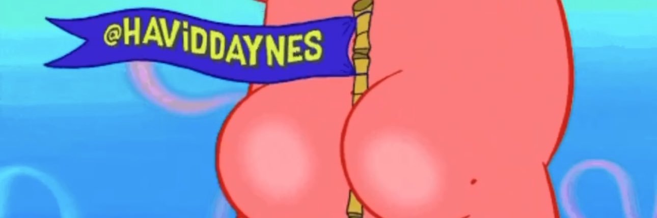 davidhaynes banner
