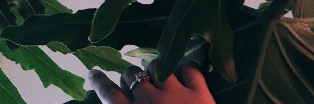 abigailoliveros's profile banner image