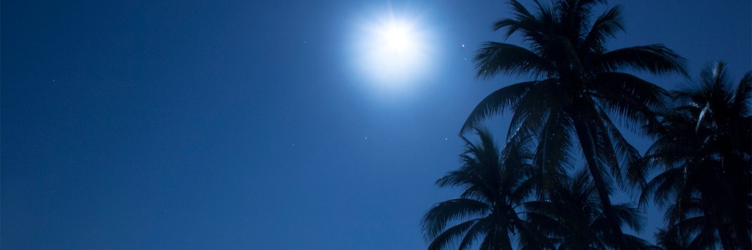 lexulloa's profile banner image