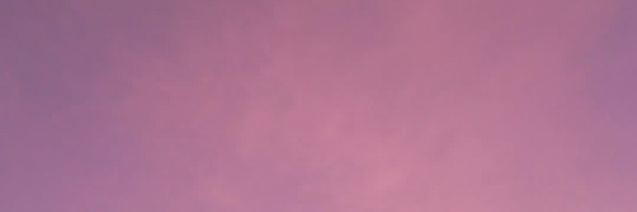 ViriRobetto's profile banner image