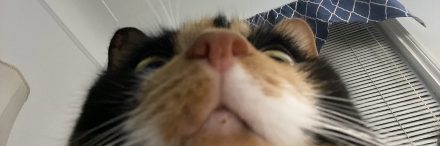 ianxwalker's profile banner image